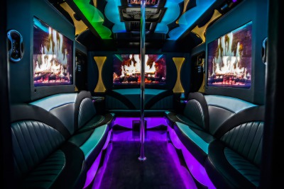 22-passenger party buses